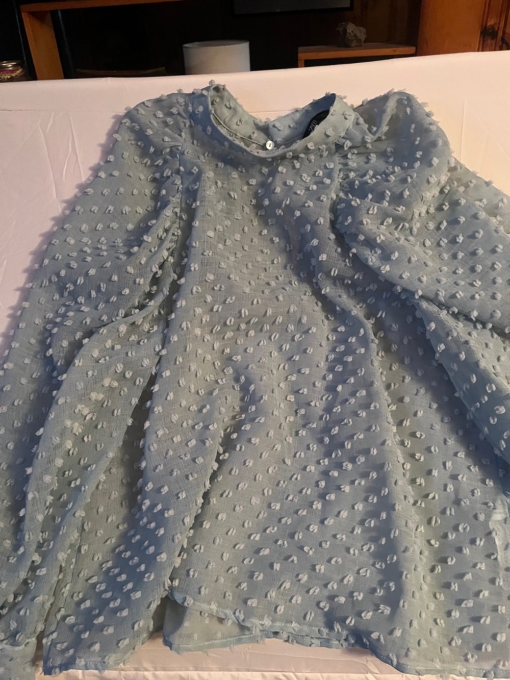 Zara Light Blue Swiss Dot Blouse